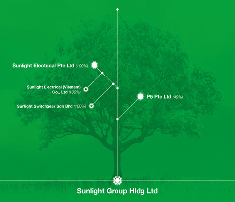Sunlight Group Organisation Structure